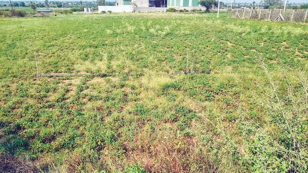   ఆసుపత్రి నిర్మాణాన్ని గడువులోగా పూర్తి చేయాలి