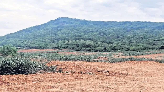 రామవరం కొండపై శొంఠ్యాం ముఠా కన్ను