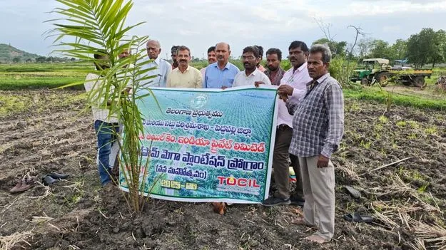 ఆయిల్‌పామ్‌ సాగుతో లాభాలు