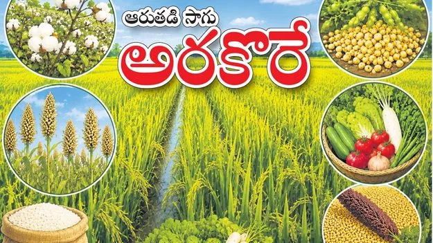 ఆరుతడి సాగు అరకొరే