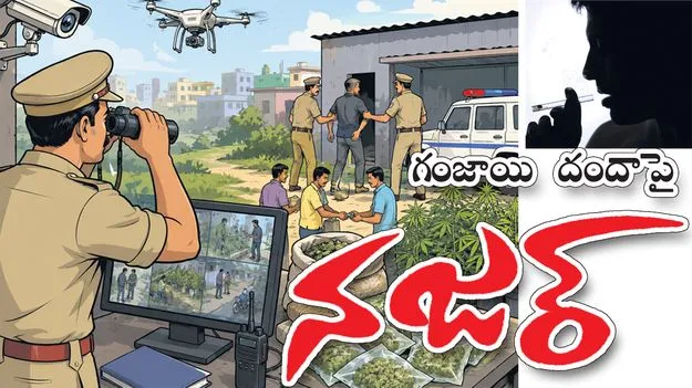 గంజాయి దందాపై నజర్‌!