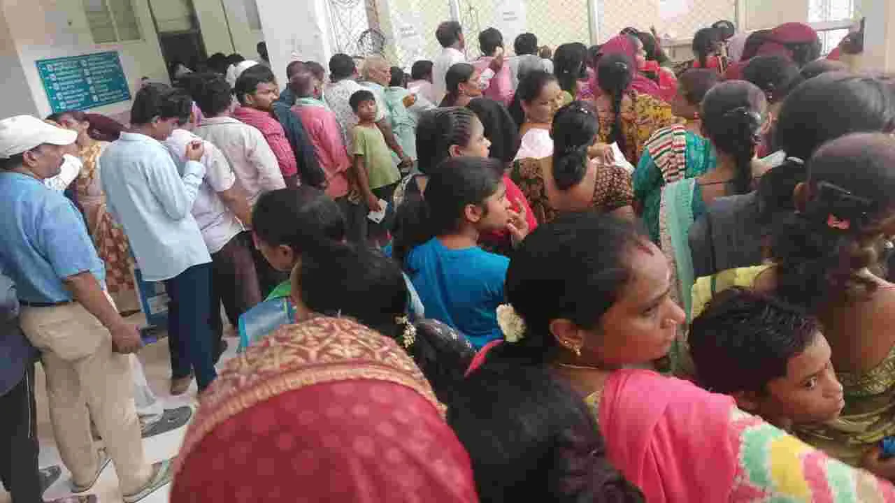విజృంభిస్తున్న విష జ్వరాలు