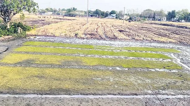 వానాకాలం సాగుకు సిద్ధమవ్వండిలా..