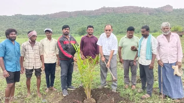 ఆయిల్‌పామ్‌ తోటలపై మొగ్గు చూపాలి