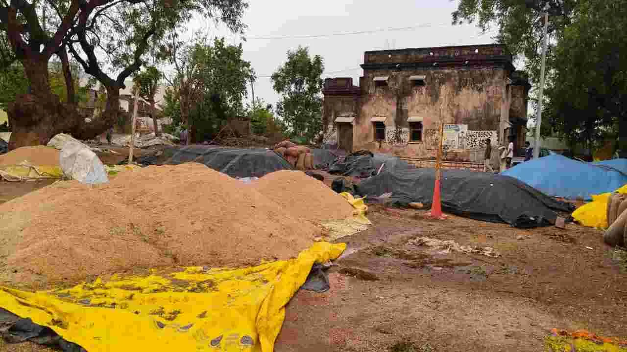 కాల వర్షంతో తడిసిన ధాన్యం