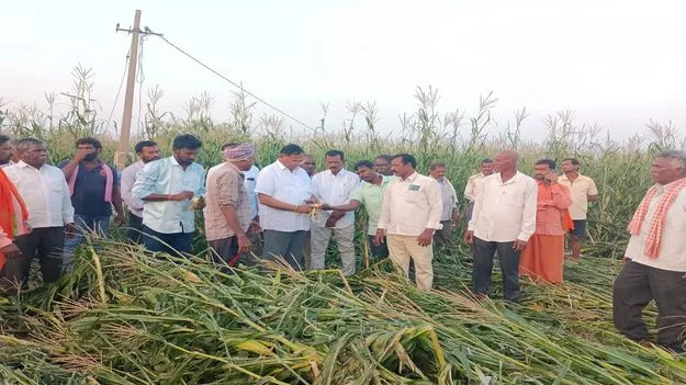 అన్నదాతలను ప్రభుత్వం ఆదుకోవాలి