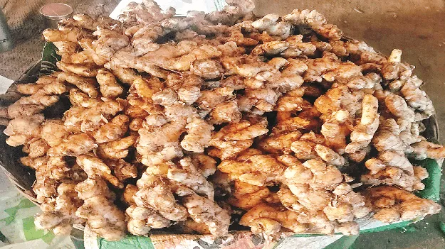అల్లం కిలో రూ.250 