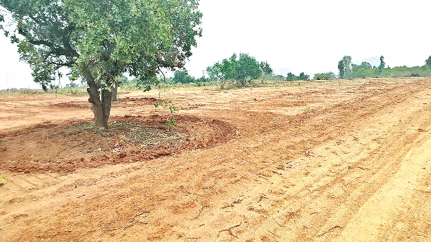 ఆక్రమిస్తామంటే వద్దంటామా?