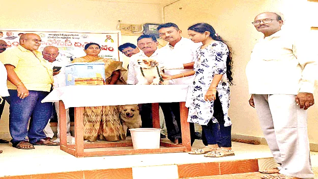 జంతుప్రేమ... జాగ్రత్త సుమా!