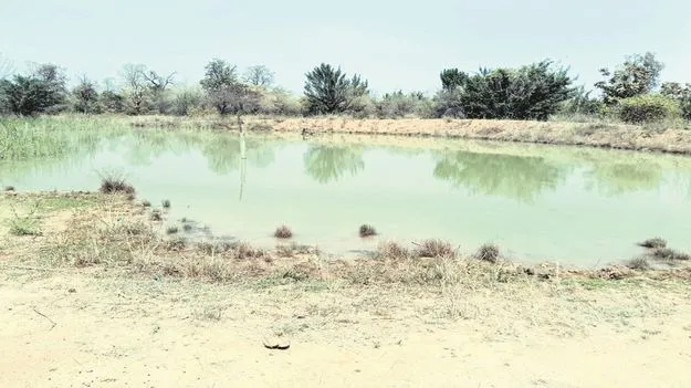 kumaram bheem asifabad- ఆహ్లాదం.. ఆనందం..