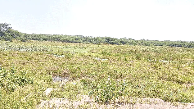 నిర్వహణ లేక.. వినియోగానికి నోచుకోక