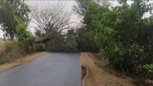 సిరిసిల్లలో గాలివాన