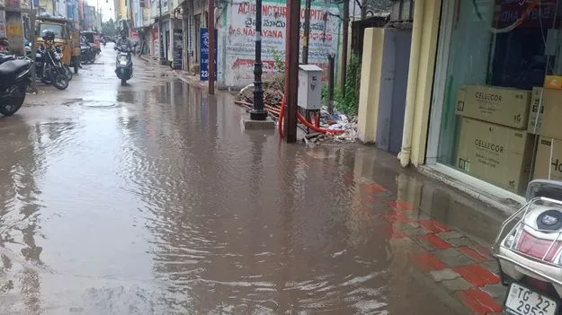 ముసురు వాన..   మురిసిన రైతన్న...