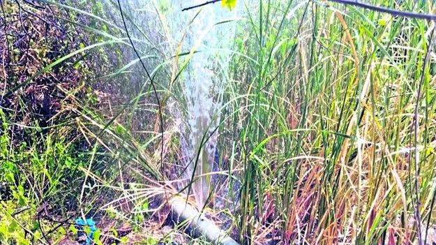 WATER: పైపులన్నీ లీకేజీలే..!