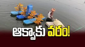 ఆక్వాకు వరం!