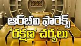 ఆర్‌బీఐ ఫారెక్స్‌ ‘రక్షణ’ చర్యలు