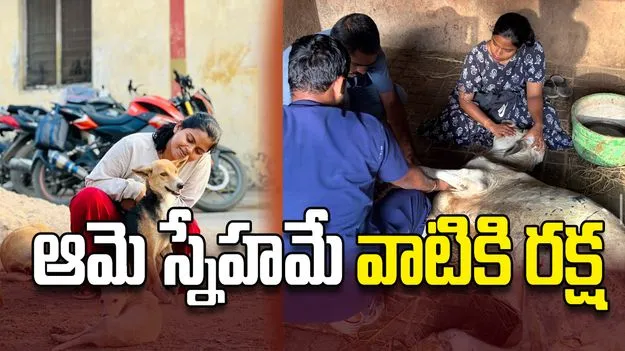 ఆమె స్నేహమే వాటికి రక్ష