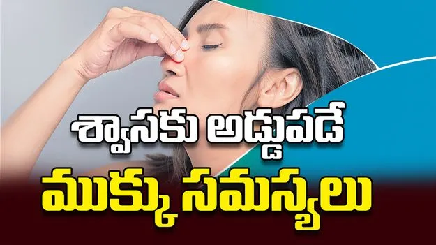 శ్వాసకు అడ్డుపడే ముక్కు సమస్యలు