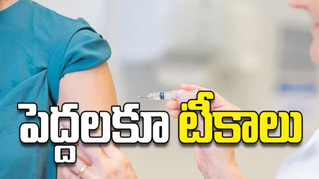 పెద్దలకూ టీకాలు