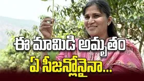 ఈ మామిడి అమృతం ఏ సీజన్లోనైనా...