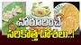 నోరూరించే సరికొత్త దోశలు..!