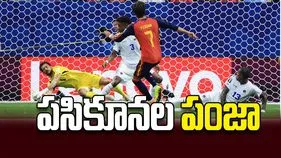 పసికూనల పంజా
