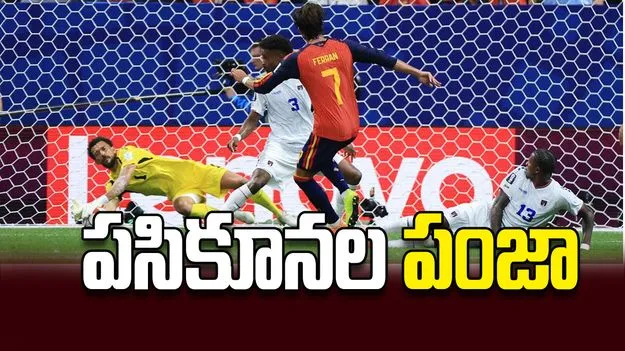 పసికూనల పంజా