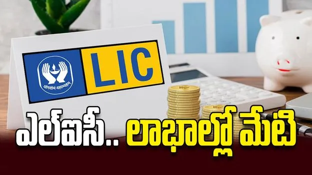 ఎల్‌ఐసీ..లాభాల్లో మేటి