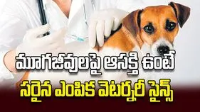 మూగజీవులపై ఆసక్తి ఉంటే సరైన ఎంపిక వెటర్నరీ సైన్స్‌