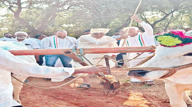 పంచె కట్టి.. హలం పట్టి...