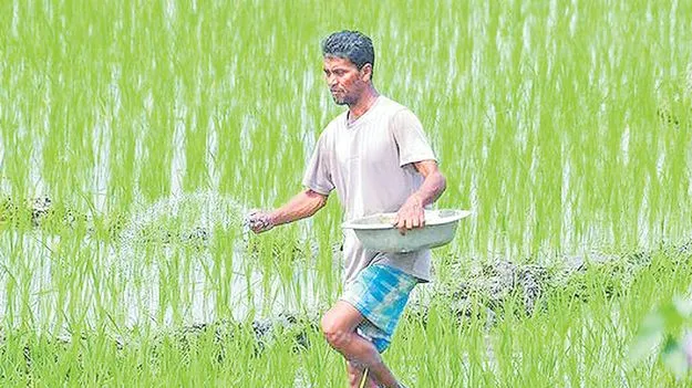 15 శాతం తగ్గనున్న ఎరువుల ఉత్పత్తి