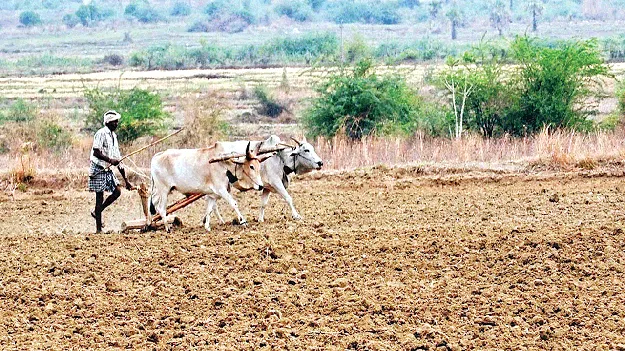 వేసవి దుక్కులకు అన్నదాత సిద్ధం