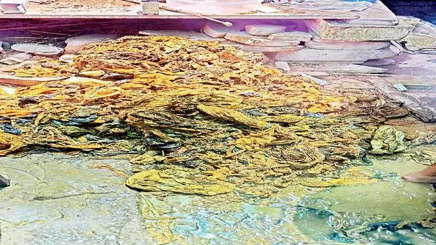    ఆవు కడుపులో 100 కేజీల ప్లాస్టిక్‌  