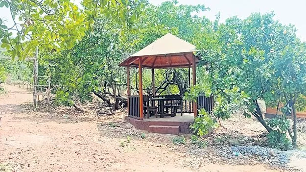 అటవీ శాఖలో అక్రమాలు