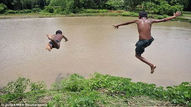 kumaram bheem asifabad-సరదాల ఈత.. కావొద్దు విషాదం