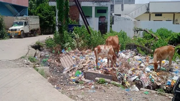 kumaram bheem asifabad- యథేచ్ఛగా ప్లాస్టిక్‌ వాడకం 