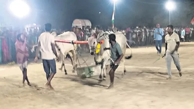 హోరాహోరీగా పాలపండ్ల విభాగ పోటీలు