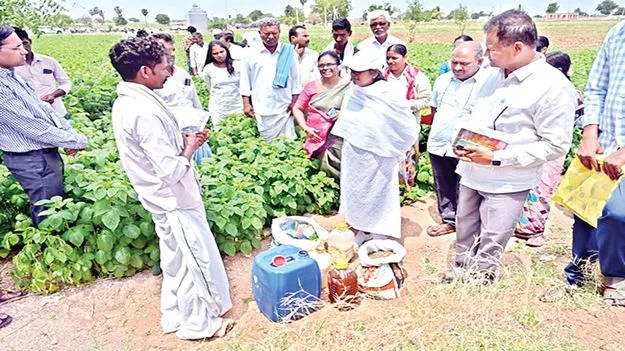 ప్రకృతి వ్యవసాయంతో అధిక దిగుబడి 