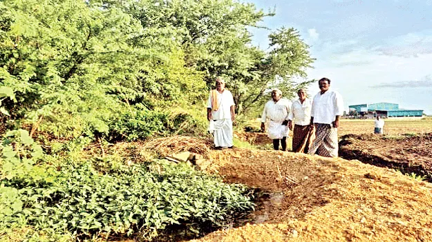 పొలంలో అడ్డుకట్టను చూపిస్తున్న రైతులు