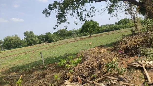 మిగిలిందైనా కాపాడుకుందాం