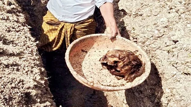 ఆరడుగుల నేల కోసం