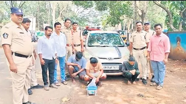 ఒక కిలో లిక్విడ్‌ గంజాయి పట్టివేత