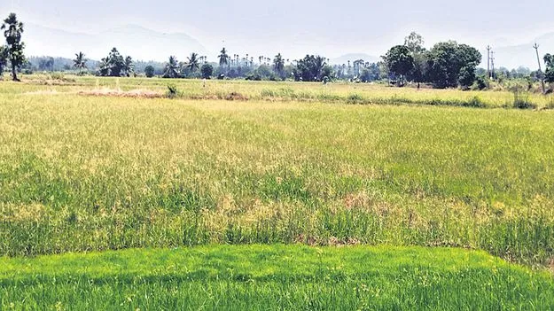 సాగని ఖరీఫ్‌ 