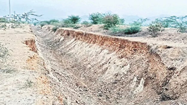 చిగురించిన మెట్ట రైతుల ఆశలు