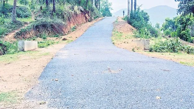 పెదపాడుకు మహర్దశ