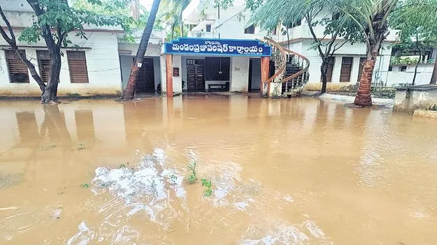 పలు మండలాల్లో వర్షం