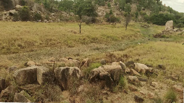 గొంతెండి...అడవిని వీడి..