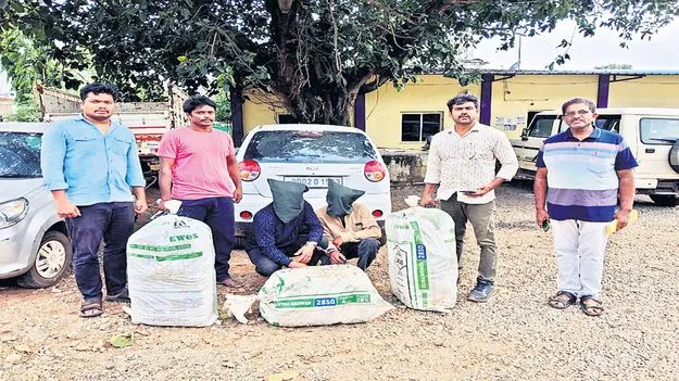 100 కేజీలు గంజాయి పట్టివేత