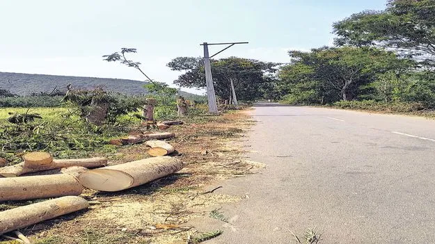 వృక్ష విలాపం