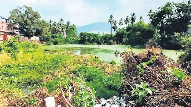 చూస్తే గుండె చెరువు!